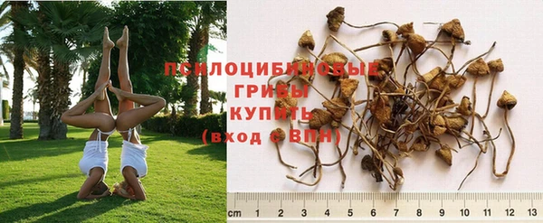 мефедрон мука Богородицк