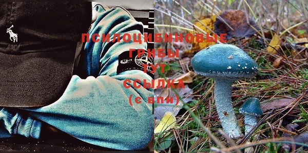 Альфа ПВП Хадыженск