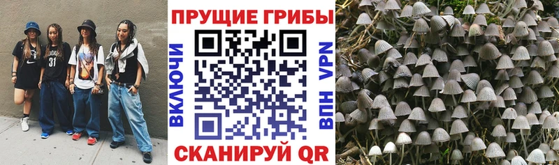 Галлюциногенные грибы прущие грибы  Купить  Дмитровск 